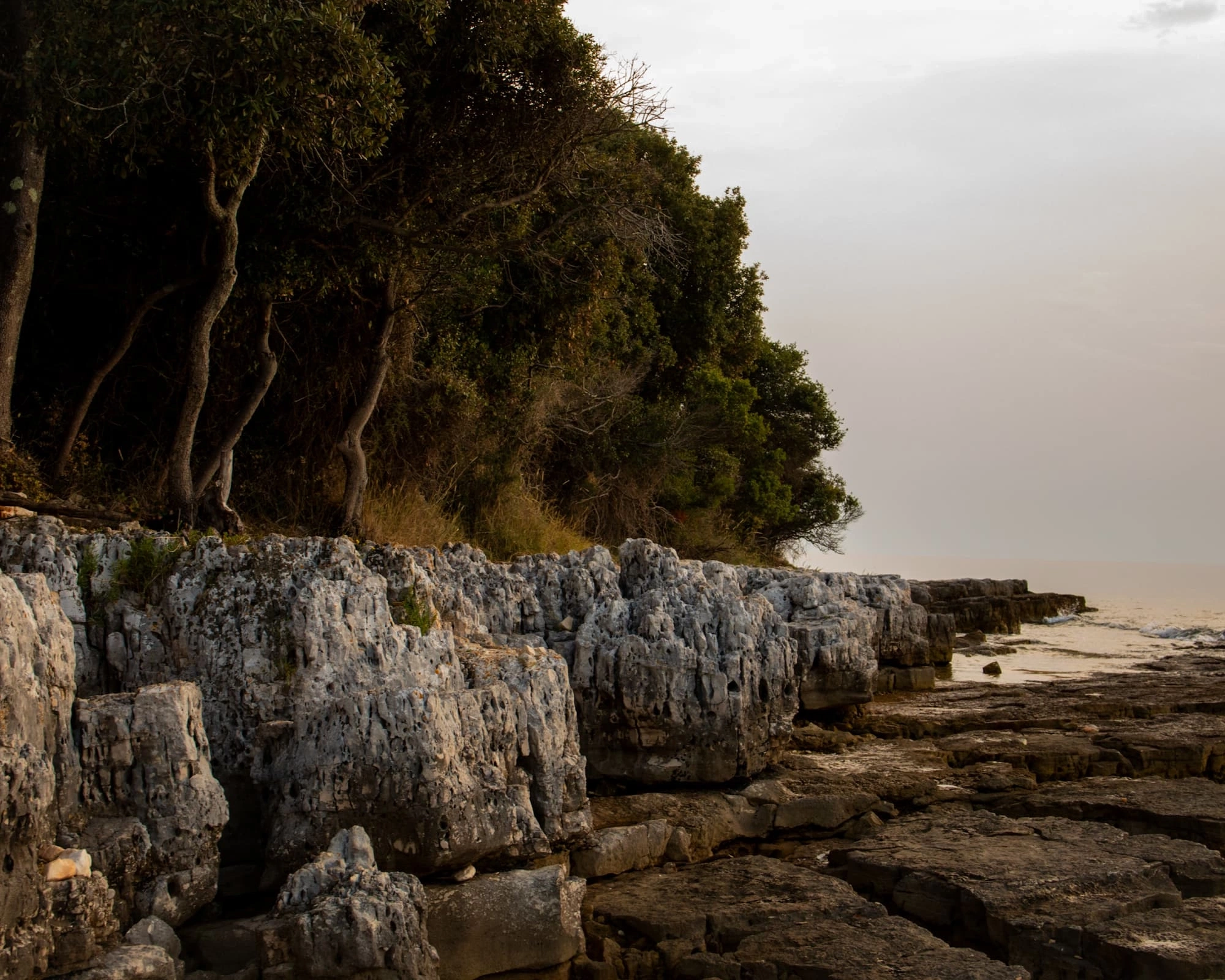 coastline of Istria